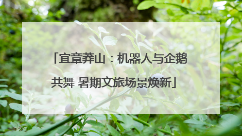 宜章莽山：机器人与企鹅共舞 暑期文旅场景焕新