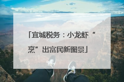 宜城税务：小龙虾“烹”出富民新图景