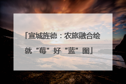 宣城旌德：农旅融合绘就“莓”好“蓝”图