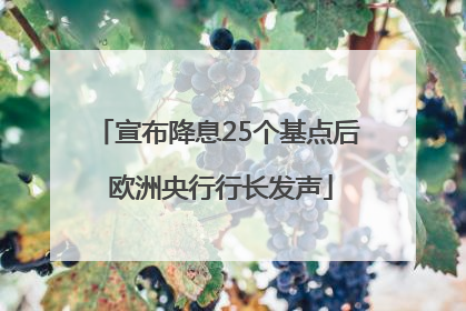 宣布降息25个基点后 欧洲央行行长发声