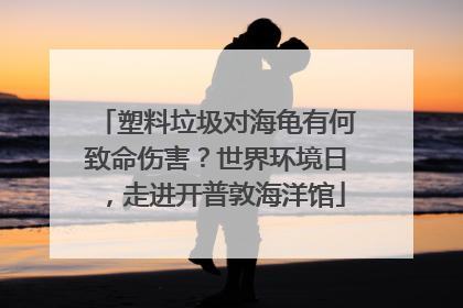 塑料垃圾对海龟有何致命伤害？世界环境日，走进开普敦海洋馆