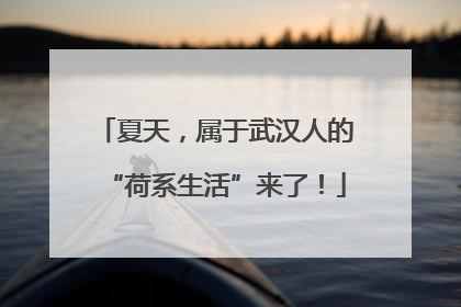 夏天，属于武汉人的“荷系生活”来了！
