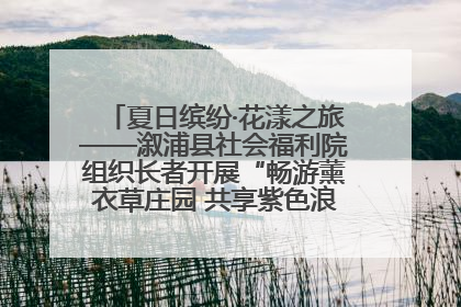 夏日缤纷·花漾之旅——溆浦县社会福利院组织长者开展“畅游薰衣草庄园 共享紫色浪漫”户外活动
