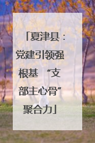 夏津县：党建引领强根基 “支部主心骨”聚合力