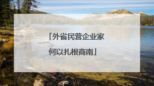 外省民营企业家何以扎根商南