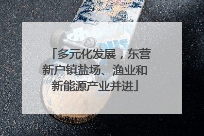 多元化发展，东营新户镇盐场、渔业和新能源产业并进