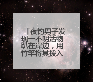 夜钓男子发现一不明活物趴在岸边，用竹竿将其拨入水中后，它又爬回岸边……