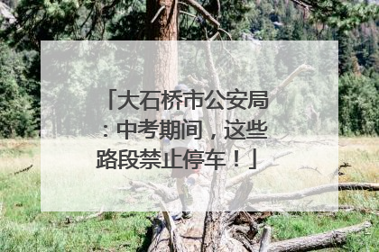 大石桥市公安局：中考期间，这些路段禁止停车！