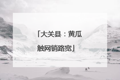 大关县：黄瓜触网销路宽
