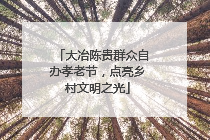 大冶陈贵群众自办孝老节，点亮乡村文明之光