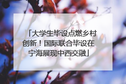 大学生毕设点燃乡村创新！国际联合毕设在宁海展现中西交融