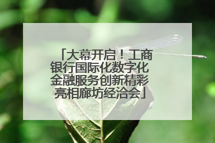 大幕开启！工商银行国际化数字化金融服务创新精彩亮相廊坊经洽会