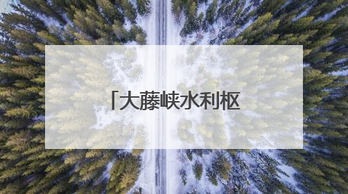 大藤峡水利枢纽首次放流国家濒危物种唇鲮
