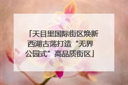 天目里国际街区焕新 西湖古荡打造“无界公园式”高品质街区