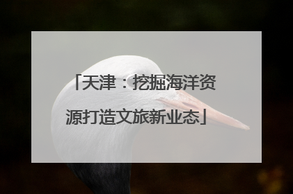 天津：挖掘海洋资源打造文旅新业态
