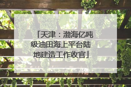 天津：渤海亿吨级油田海上平台陆地建造工作收官