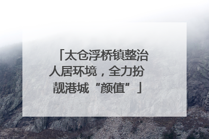太仓浮桥镇整治人居环境，全力扮靓港城“颜值”