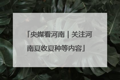 央媒看河南｜关注河南夏收夏种等内容