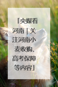 央媒看河南｜关注河南小麦收购、高考保障等内容