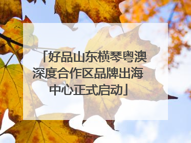 好品山东横琴粤澳深度合作区品牌出海中心正式启动