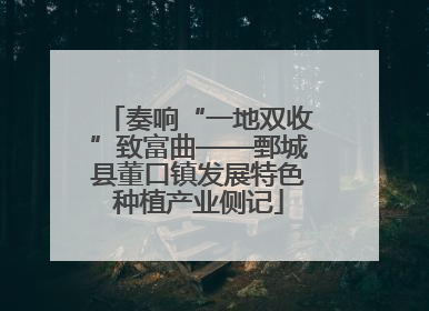 奏响“一地双收”致富曲——鄄城县董口镇发展特色种植产业侧记