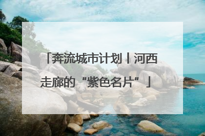 奔流城市计划丨河西走廊的“紫色名片”