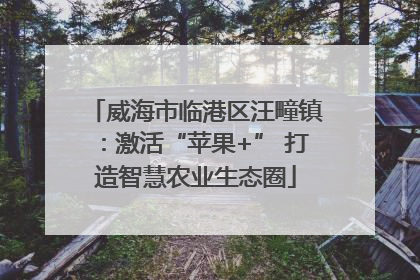 威海市临港区汪疃镇：激活“苹果+” 打造智慧农业生态圈