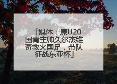 媒体：原U20国青主帅久尔杰维奇救火国足，带队征战东亚杯
