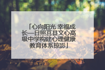 心向阳光 幸福成长—日照莒县文心高级中学构建心理健康教育体系掠影