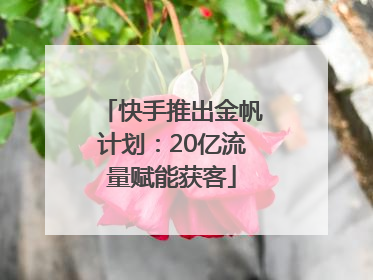 快手推出金帆计划：20亿流量赋能获客