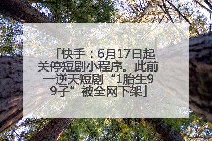 快手：6月17日起关停短剧小程序。此前一逆天短剧“1胎生99子”被全网下架