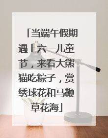 当端午假期遇上六一儿童节，来看大熊猫吃粽子，赏绣球花和马鞭草花海