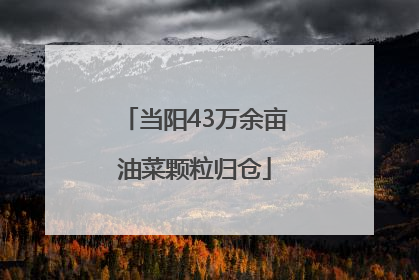 当阳43万余亩油菜颗粒归仓