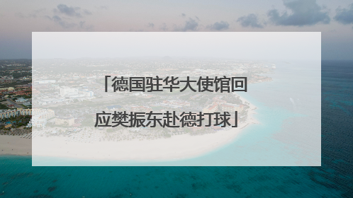 德国驻华大使馆回应樊振东赴德打球