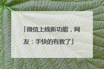微信上线新功能，网友：手快的有救了