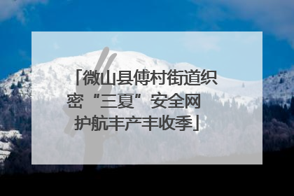 微山县傅村街道织密“三夏”安全网 护航丰产丰收季