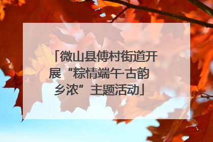 微山县傅村街道开展“粽情端午·古韵乡浓”主题活动