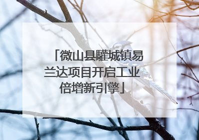 微山县驩城镇易兰达项目开启工业倍增新引擎