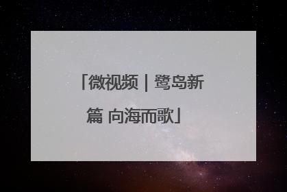 微视频｜鹭岛新篇 向海而歌