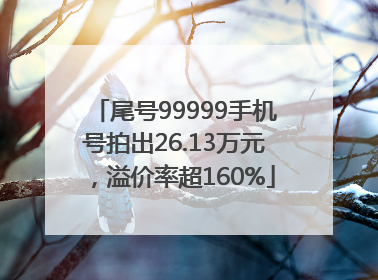 尾号99999手机号拍出26.13万元，溢价率超160%