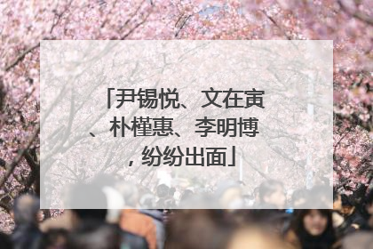 尹锡悦、文在寅、朴槿惠、李明博，纷纷出面
