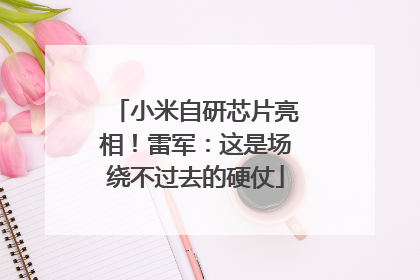 小米自研芯片亮相！雷军：这是场绕不过去的硬仗