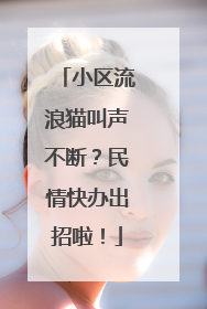 小区流浪猫叫声不断？民情快办出招啦！