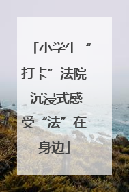 小学生“打卡”法院 沉浸式感受“法”在身边