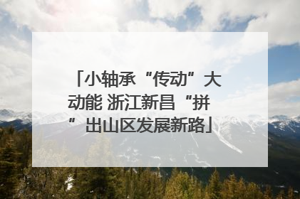 小轴承“传动”大动能 浙江新昌“拼”出山区发展新路