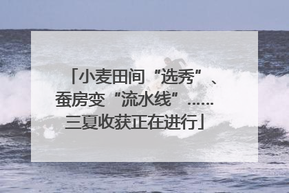 小麦田间“选秀”、蚕房变“流水线”……三夏收获正在进行