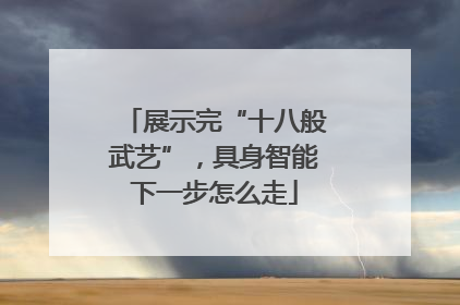 展示完“十八般武艺”，具身智能下一步怎么走