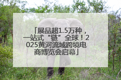 展品超1.5万种，一站式“链”全球！2025黄河流域跨境电商博览会启幕