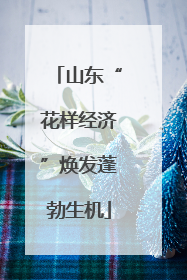 山东“花样经济”焕发蓬勃生机