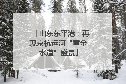 山东东平港：再现京杭运河“黄金水道”盛景